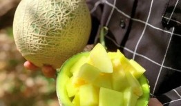 龙坤娱乐吃瓜,吃瓜群众揭秘娱乐圈幕后真相